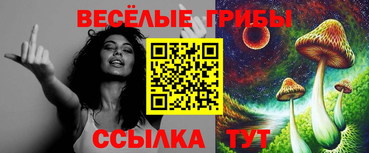 Псилоцибиновые грибы Psilocybe  Вход с VPN  Брянск 