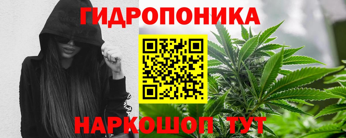 МАРИХУАНА Amnesia  Каннабис конопля  Вход с VPN  Брянск  Канабис VHQ 